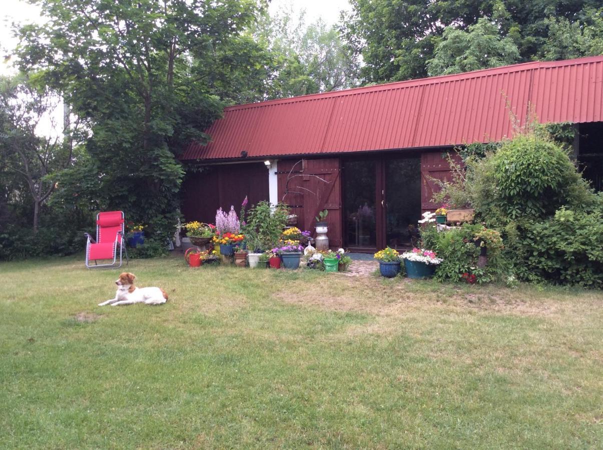 Satnatorium Bed and Breakfast Tuczno Buitenkant foto